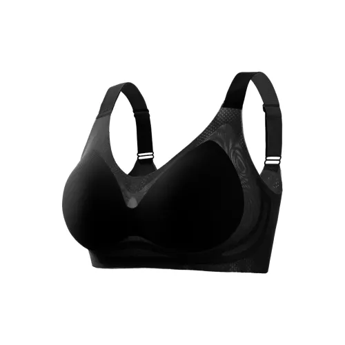 Lanza Women's Bras