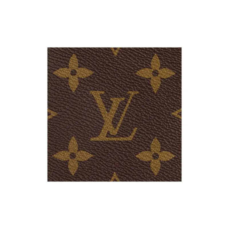 LOUIS VUITTON Speedy Bandouliere 20 Monogram Black-7
