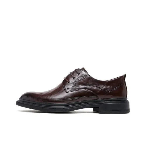 CAMEL Dress Shoes Men Low-Top