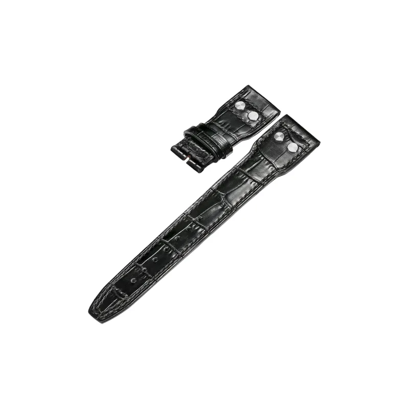 ZHISHENG Watch Band Interface Width 22MM Men's Watches 2023131-0