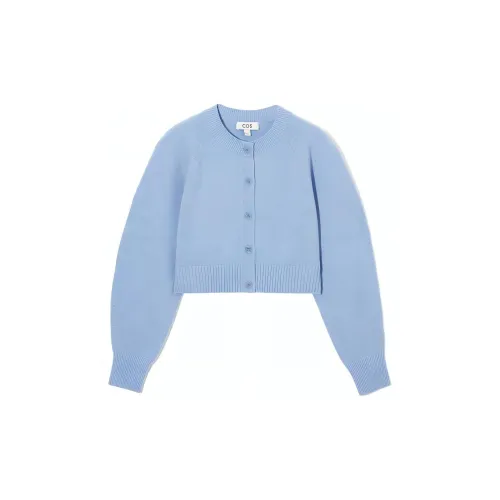 LACOSTE Knitwear Women's Light Blue