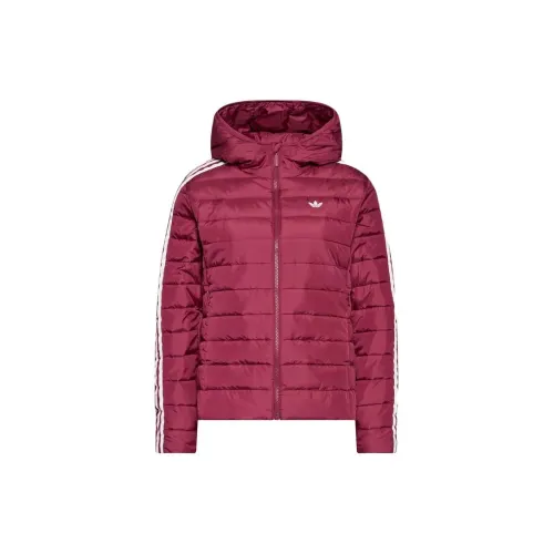 Adidas Clothing Jackets Women's Bordeaux Color