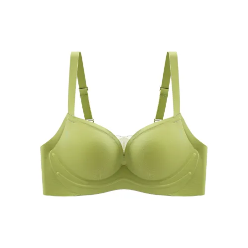 Lanza Women's Bras