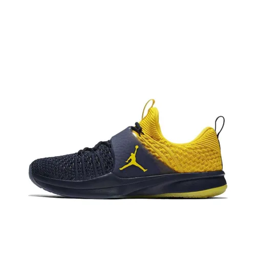 Jordan Trainer 2 Flyknit Michigan