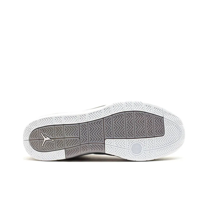 Jordan 2.0 Wolf Grey-4