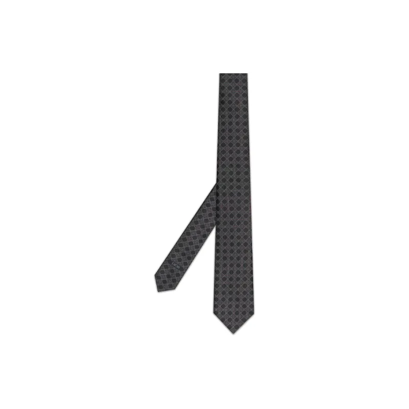 DIOR Ties Men-1