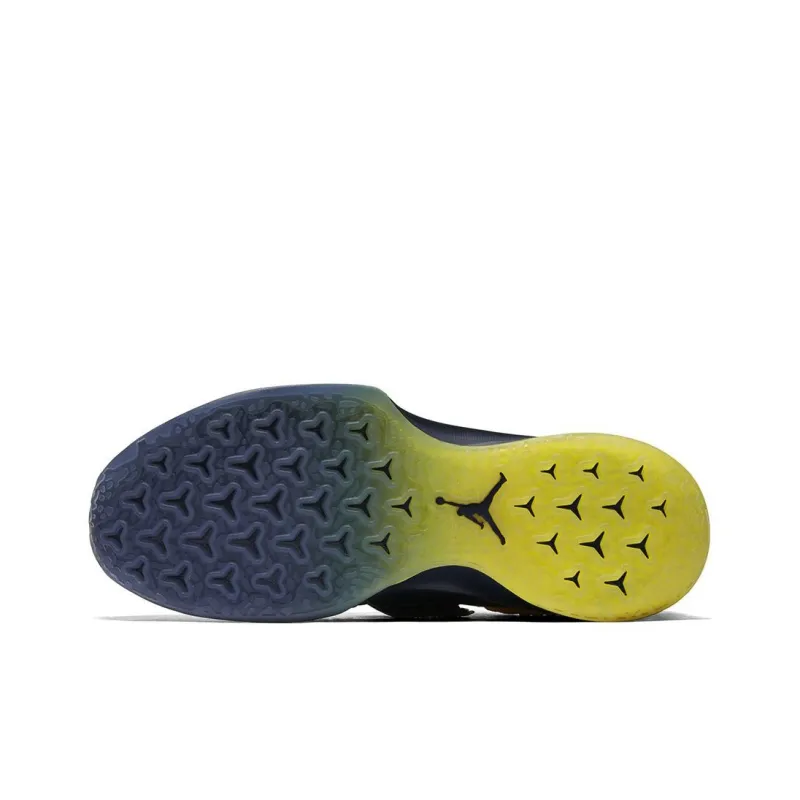 Jordan Trainer 2 Flyknit Michigan-4
