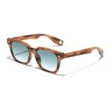 Tortoiseshell Progressive Green