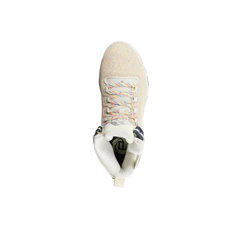 Adidas D Rose 6 Boost Primeknit Rainbow-2