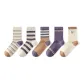 [5 Pack]Purple Stripes