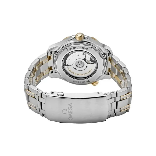 OMEGA Men Seahorse Series 300m Diving Watch Watch-2