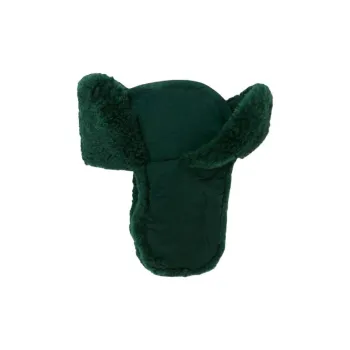 Burberry Polyamide Trapper Hats Men's Green