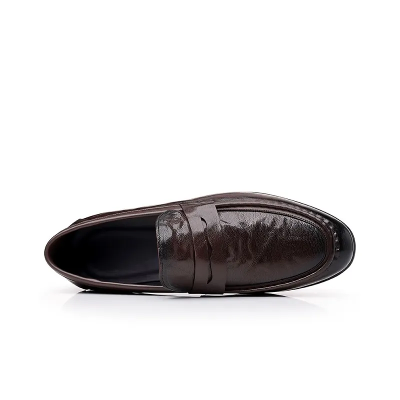 Cachiotti Loafers Men Black, Brown-2