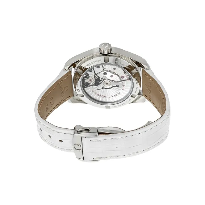 OMEGA Seamaster Aqua Terra Co Axial 231.13.39.21.54.001-2