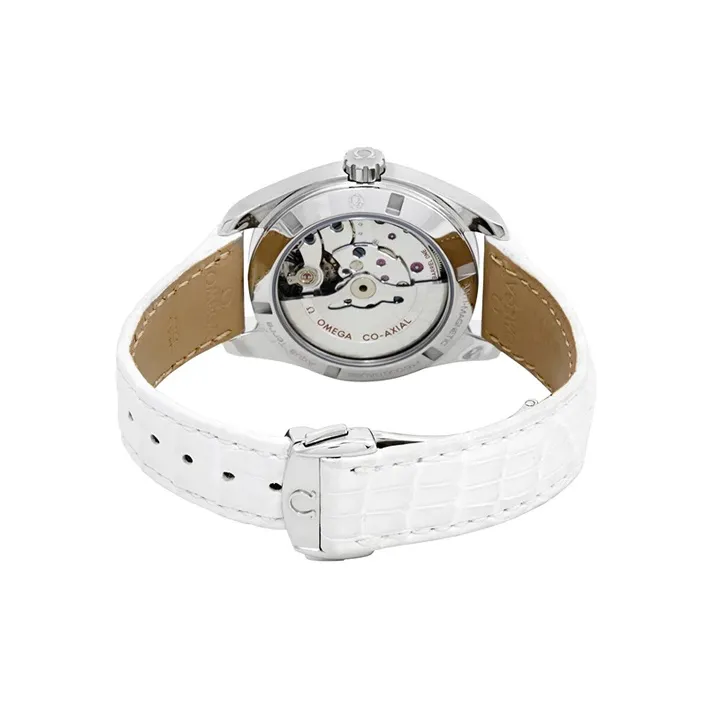 OMEGA Seamaster Aqua Terra 231.13.39.21.55.002-2