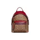 Bag+Dust Bag