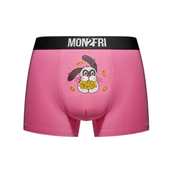 Mon 2 Fri Men Underpants