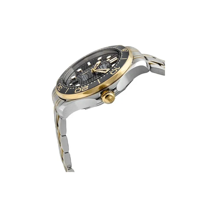 OMEGA Men Seahorse Series 300m Diving Watch Watch-1