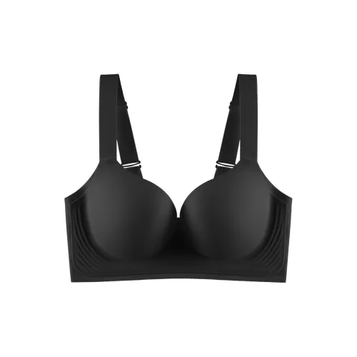 Miguel Women's Bras