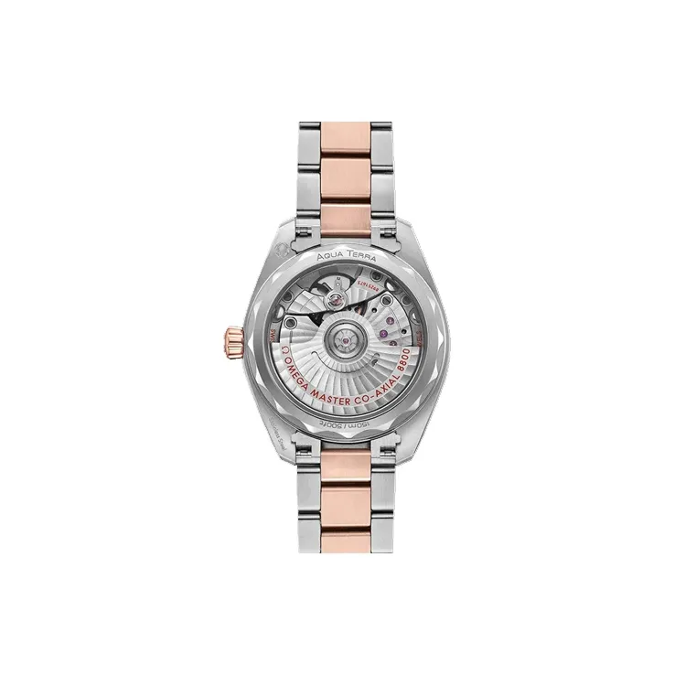 OMEGA Women's AQUA TERRA 150 Meters Watch-1