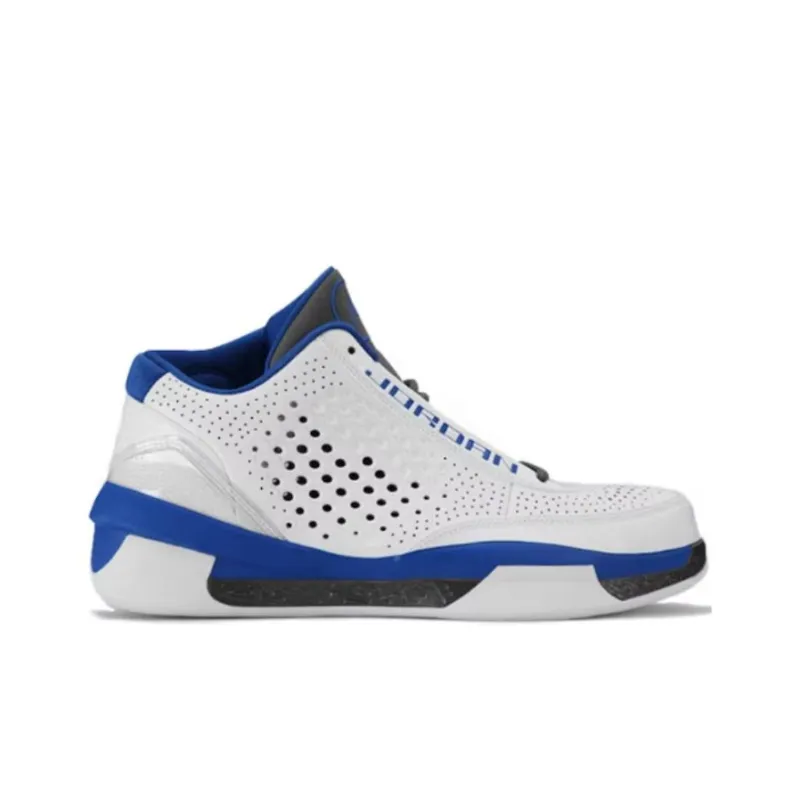 Jordan 2010 Team White Royal Light Graphite-1