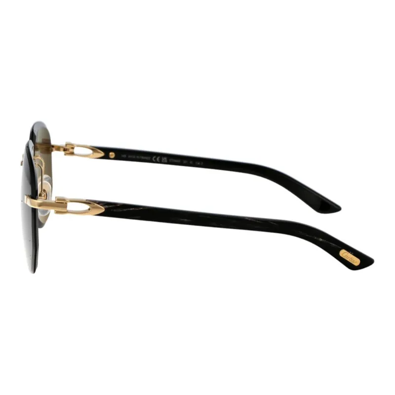 Cartier Aviator Sunglasses-2