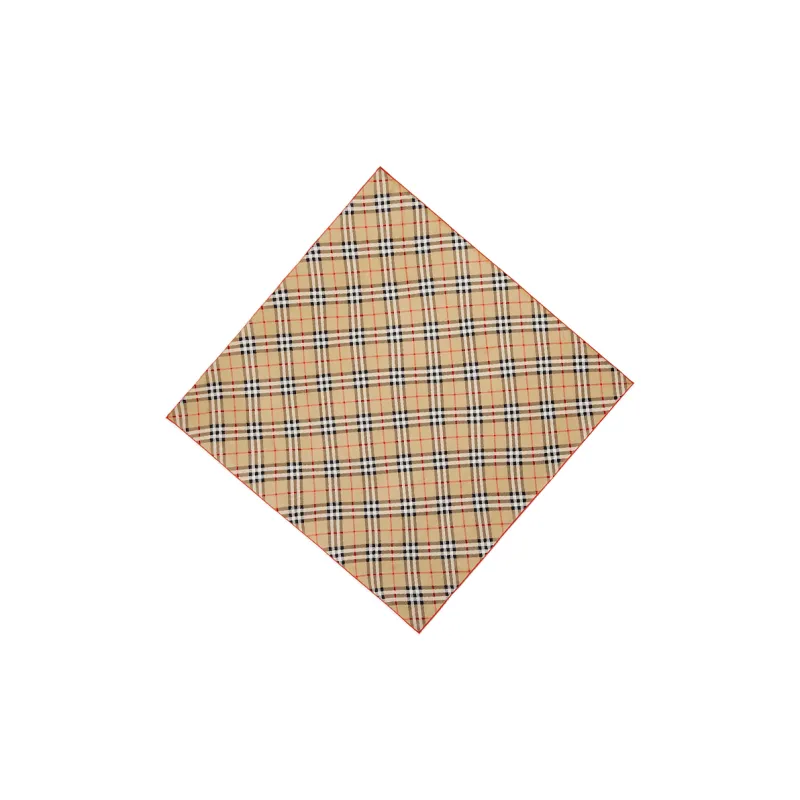 Burberry Silk Scarves Unisex Brown-1