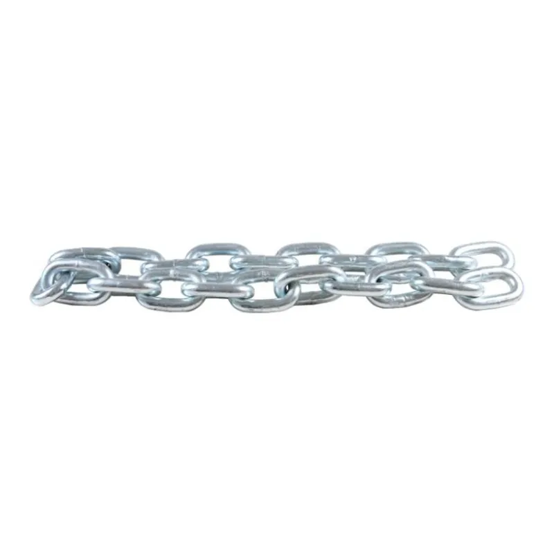 Ruisi Deep Squat With Weighted Iron Chain-8