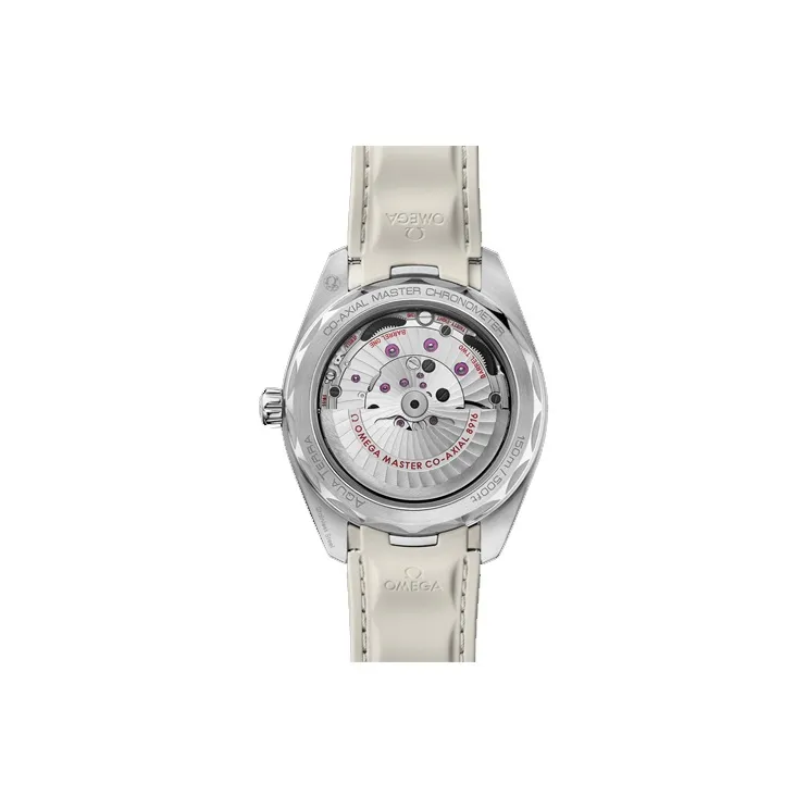 OMEGA Men AQUA TERRA 150 Meters Watch-1