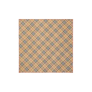 Burberry Silk Scarves Unisex Brown