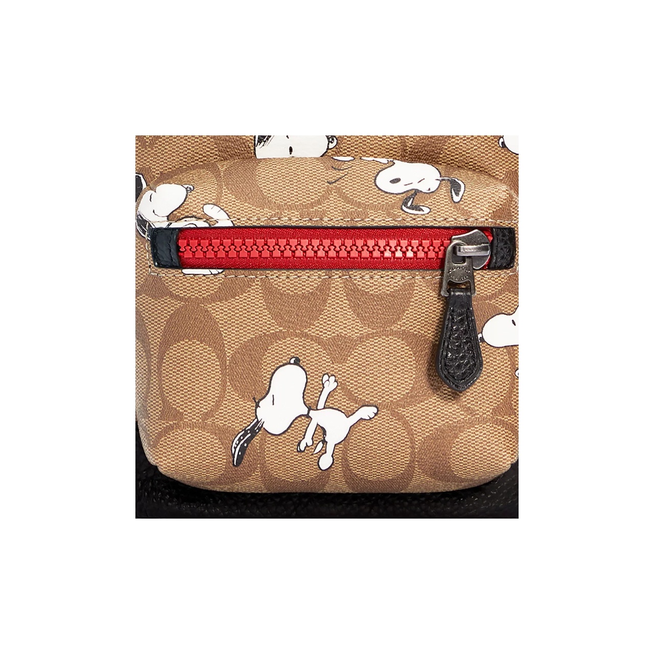 Snoopy X Peanuts X COACH West Crossbody Bags - POIZON