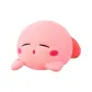 Kirby 4