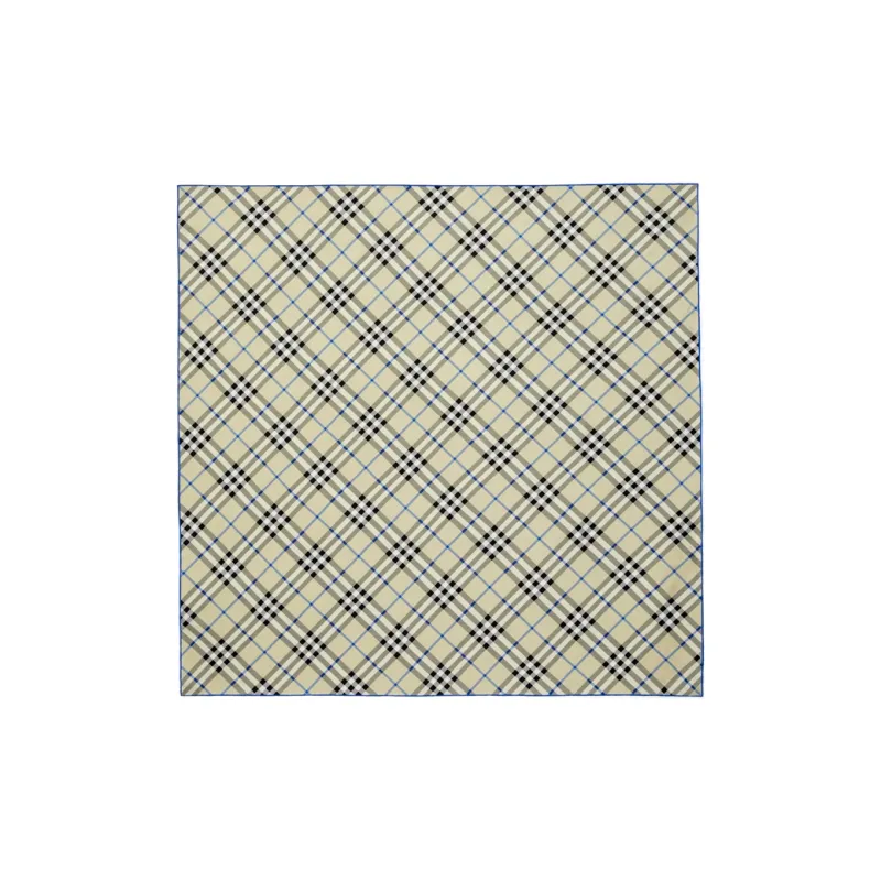 Burberry Vintage Check Finished Edge Scarf-0