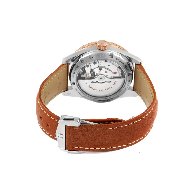 OMEGA Men Seahorse Series 300m Diving Watch Watch-3