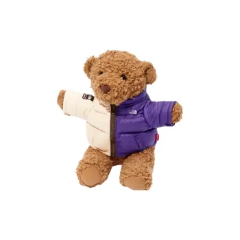 Supreme The North Face Bear Multicolor