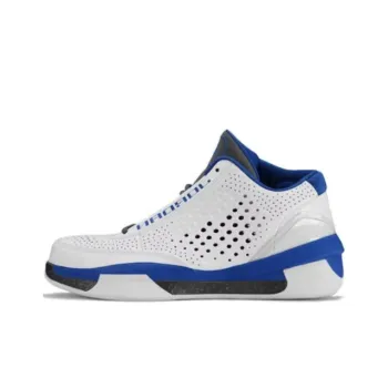 JORDAN 2010 Team White Royal Light Graphite