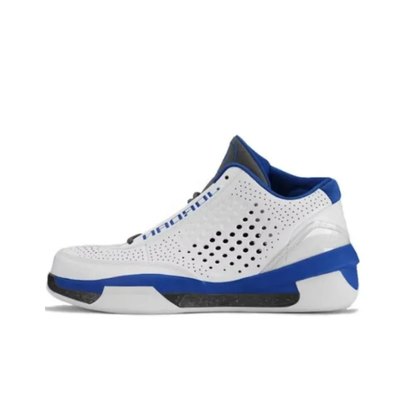 Jordan 2010 Team White Royal Light Graphite-0