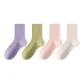 4 Pack (Pink+Purple+Yellow Green+Apricot)