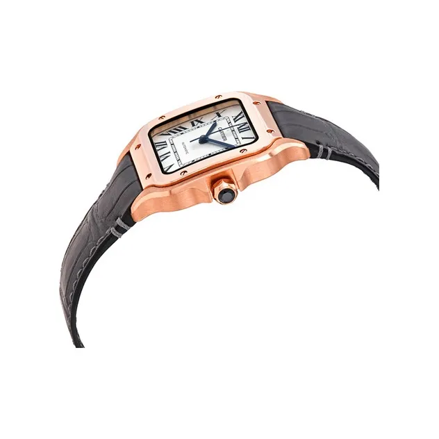 Cartier Men SANTOS DE Watch-2