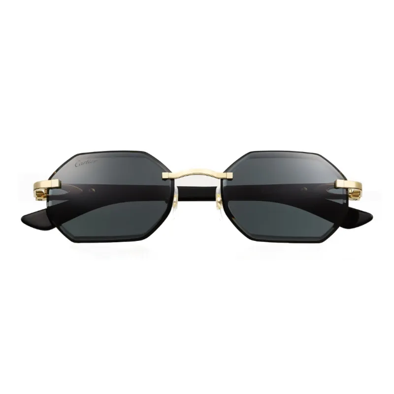 CARTIER Horn Irregular Shape Sunglasses Unisex Black-1
