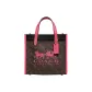 Bag+Dust Bag
