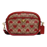 Bag+Dust Bag