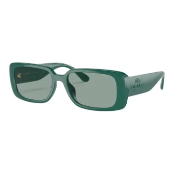 COACH Irregular Shape Sunglasses Women's Green