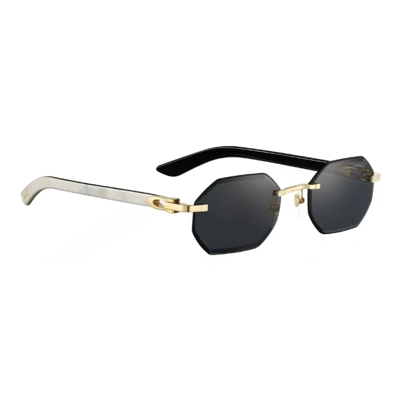 CARTIER Horn Irregular Shape Sunglasses Unisex Black-2