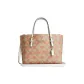 Bag+Dust Bag
