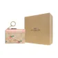 Bag+Dust Bag+Yellow Box