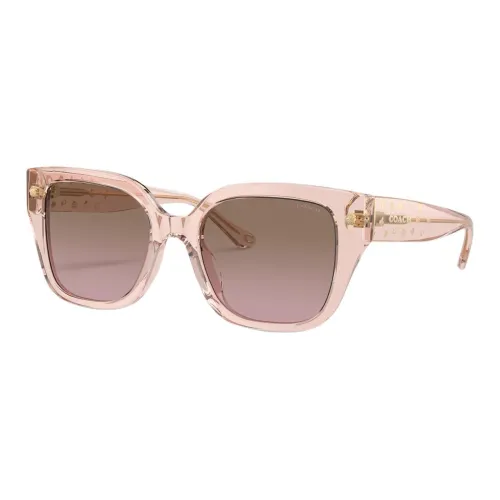 COACH Square Sunglasses Women's Brown