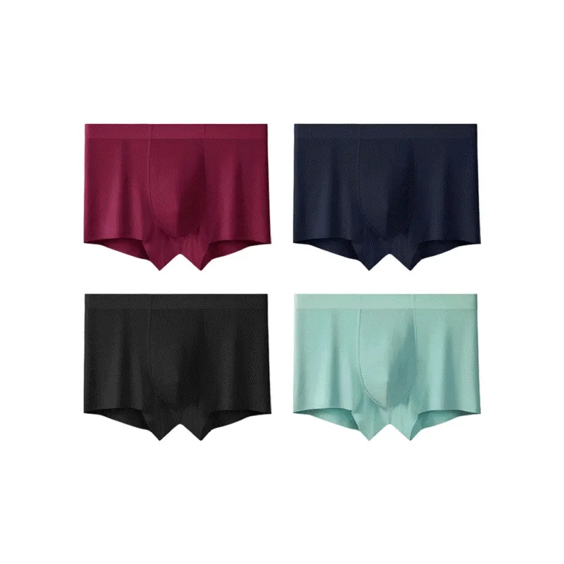 Ordifen SS24 Underpants Men's 4 Pack-11