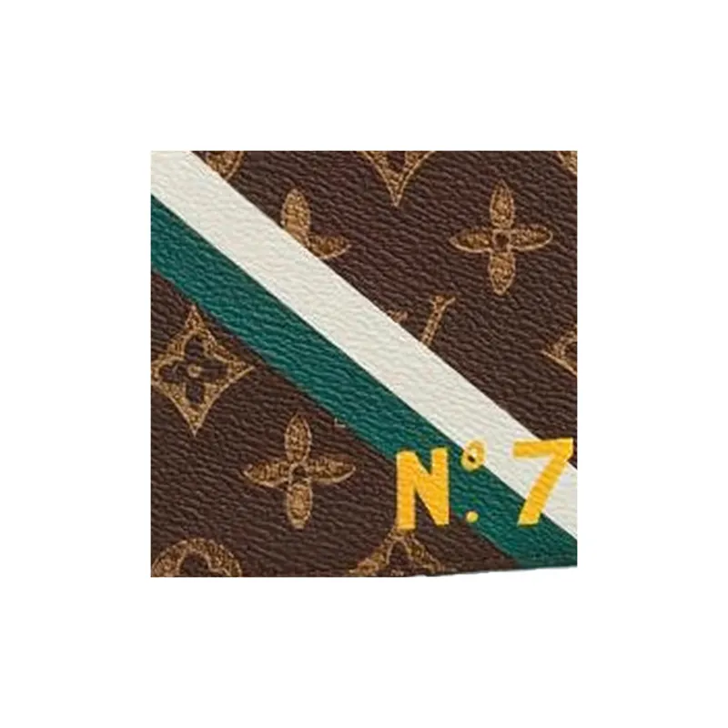 LOUIS VUITTON Pf Multiple Monogram Brown-4