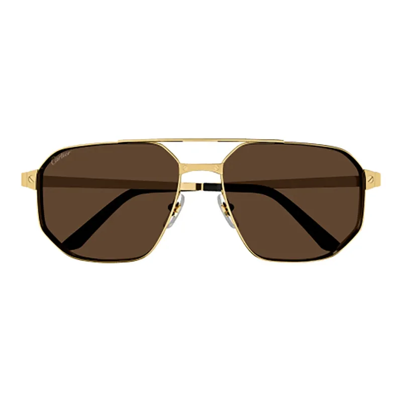Cartier Santos De Cartier Pilot frame Sunglasses-1